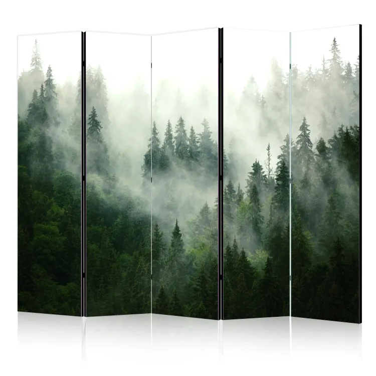 Coniferous Forest II - landscape of spruce forest scenery in fog