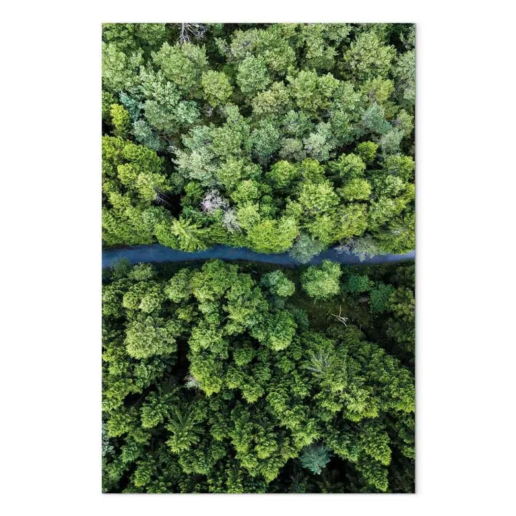 Road Through Forest (1 Part) Vertical
