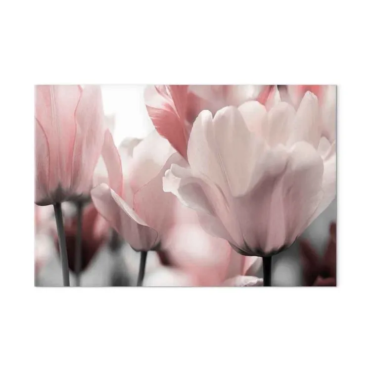 Spring Petals (1-part) - Tulip Flower in Pink Hue
