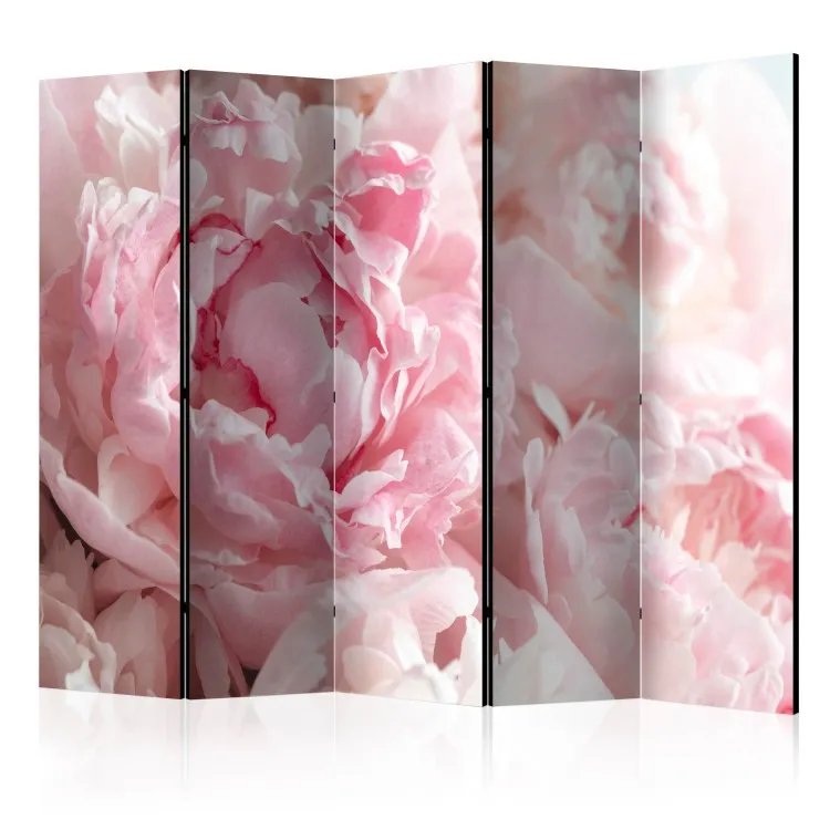 Sweet Peonies II - pink flower petals against a background of sunlight rays