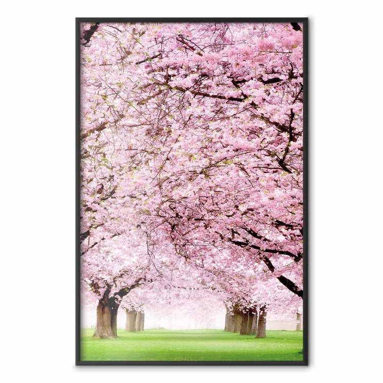 Cherry Orchard - landscape of green grass and trees with pink leaves