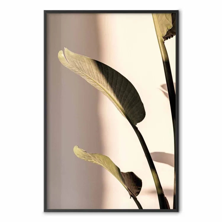 Sunny Rhythm - composition with green plant leaves on a light background