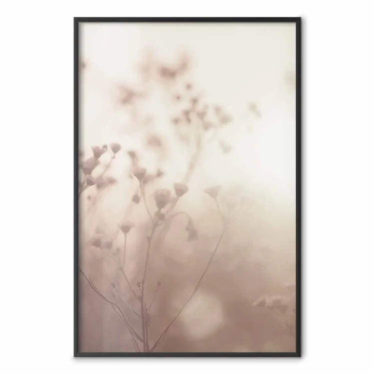 Morning Meadow - a composition of plants with flowers against the backdrop of sunlight