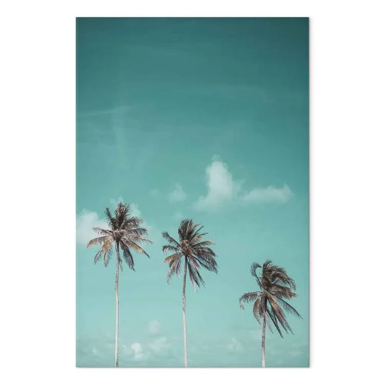Three palms - Image of three trees on a blue sky