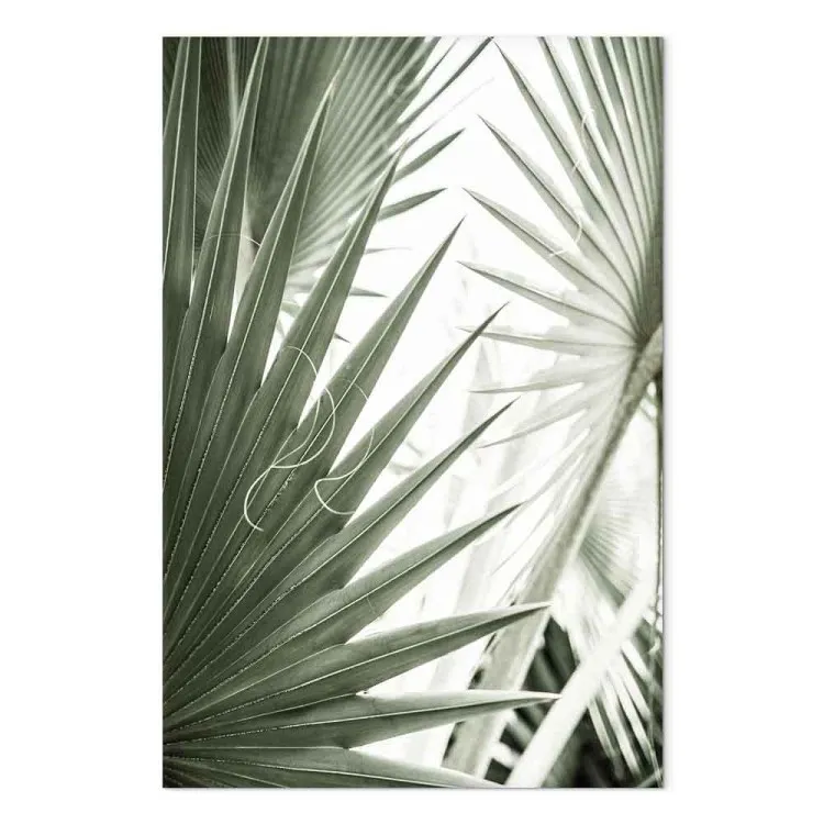 Plant needles - image of sharp exotic plants in cold green