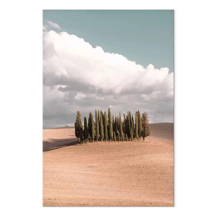 Tuscan forest - photo with a landscape of Tuscany and cypresses