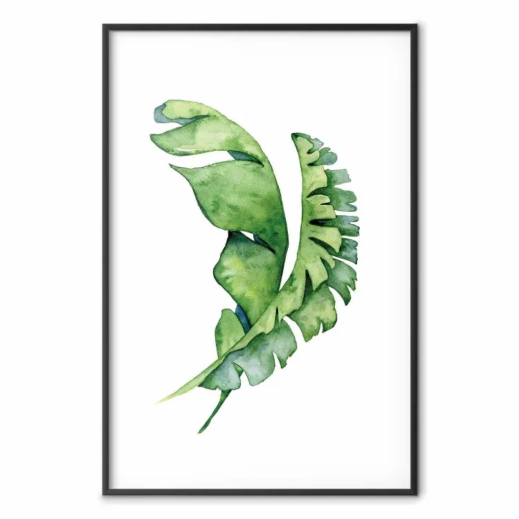 Intertwined Leaves - watercolor composition with green foliage on white