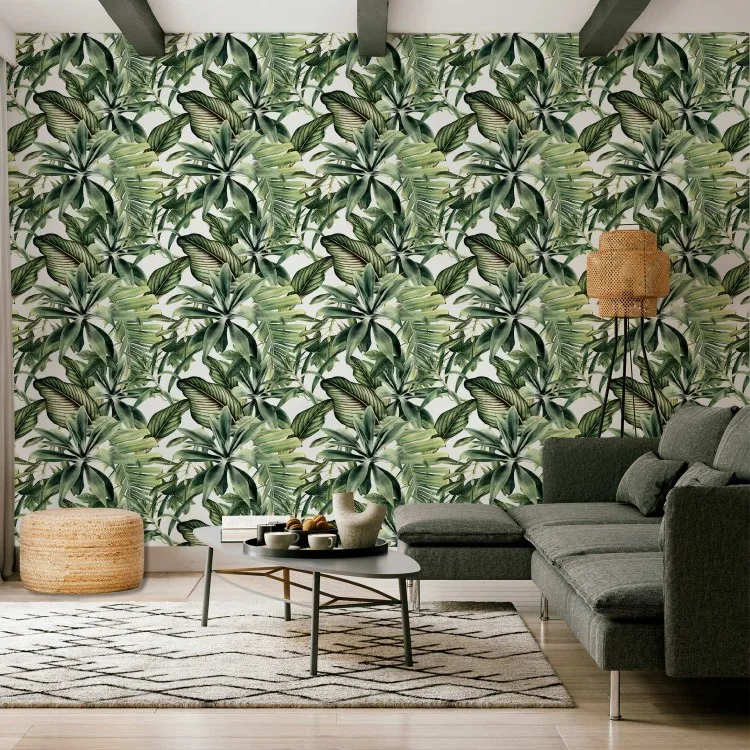 Plant Fans