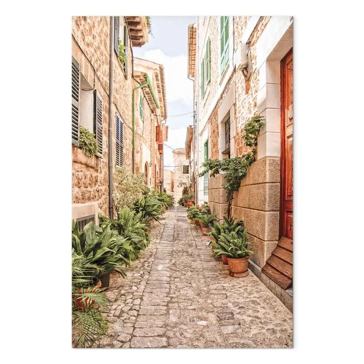 Quiet Alley (1-piece) - view of a Spanish town and plants