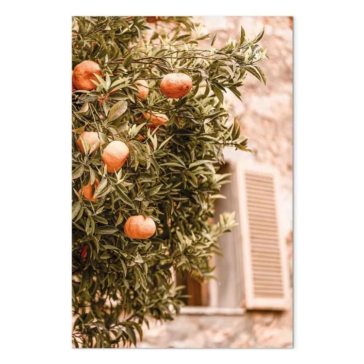Urban Fruits (1-piece) - mandarin tree against a building backdrop