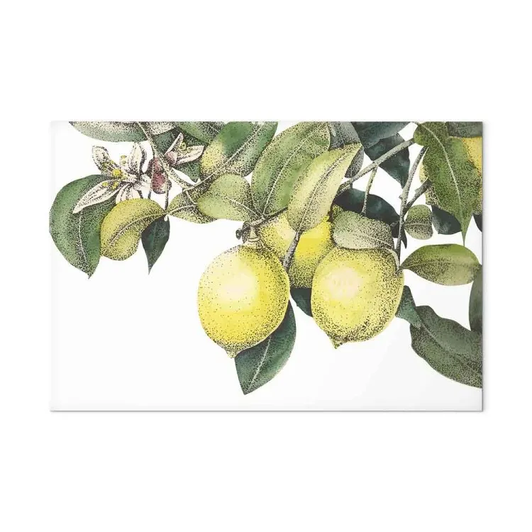 Lemons and Leaves (1-piece) - colorful citrus fruits on a tree