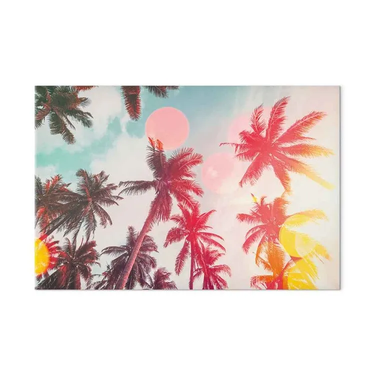 Palm trees in the light - tropical trees in the sun