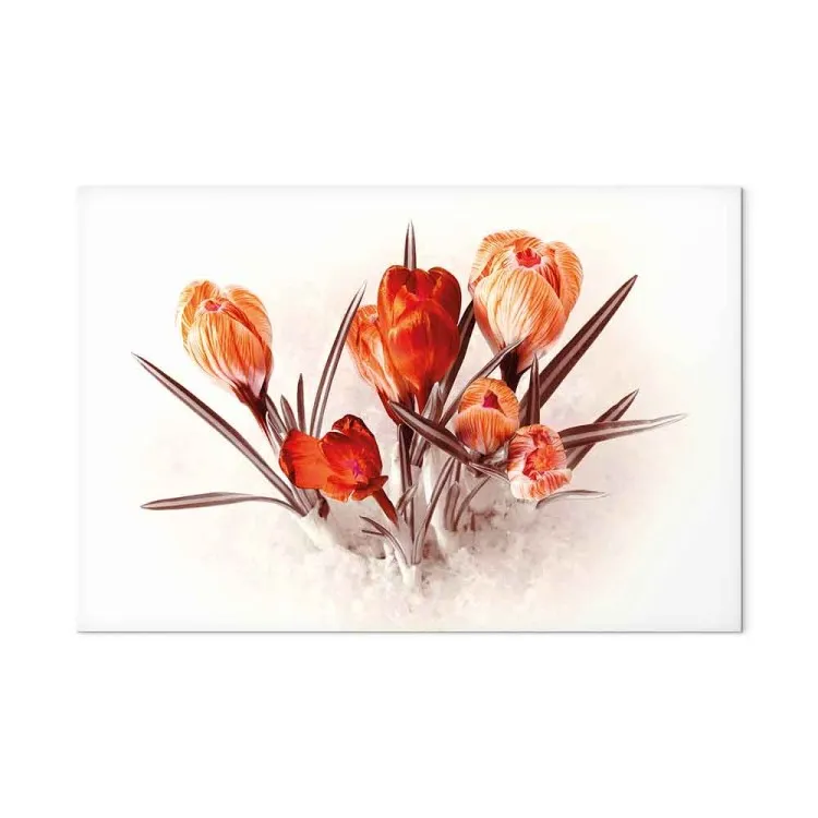 Red Crocuses (1-piece) - Romantic Bouquet of Spring Flowers